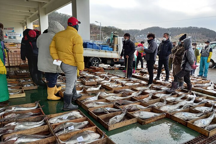 Busan seafood tour : Cod Auction and Clam Auction in Winter - Photo 1 of 11